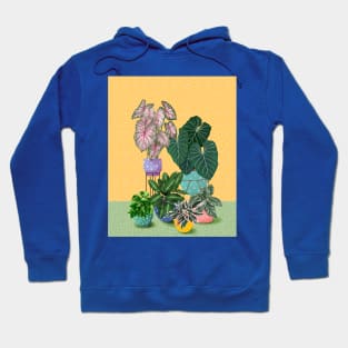 Colourful House Plants 4 Hoodie